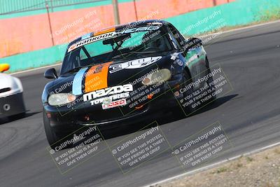 media/May-04-2024-Lucky Dog Racing (Sat) [[d39539b3f3]]/Practice I Qualifying (Turn 4a)/